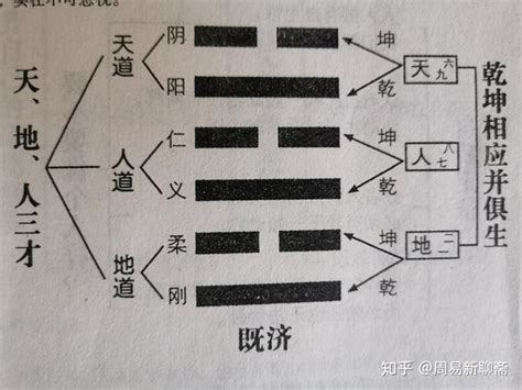 天地人 三才|张其金解读“天地人”三才之道：共同构成了《易经》的核心思想